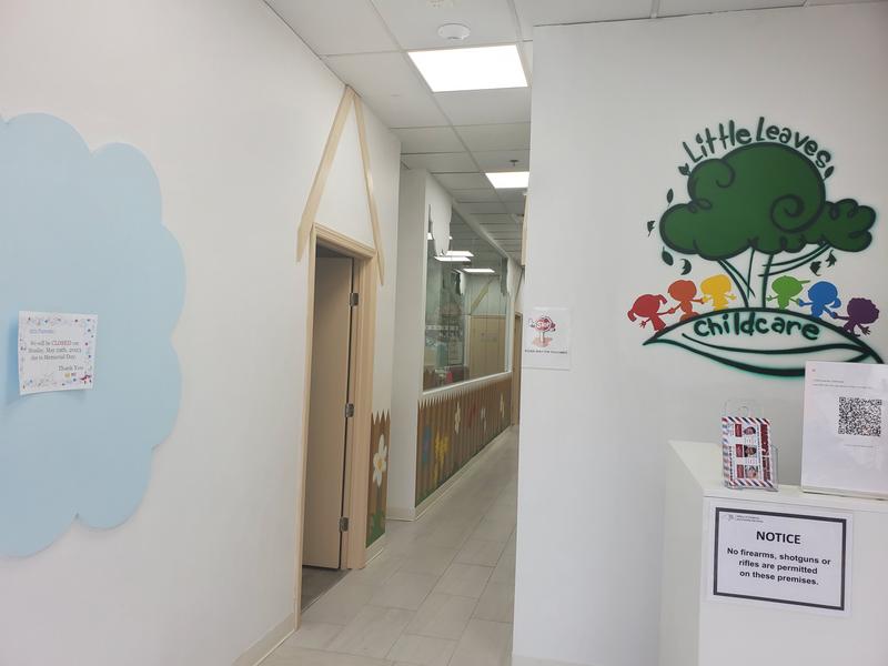 Photo of Little Leaves Childcare - Mineola, NY
