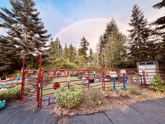 Photo of Bunny Hop Academy
