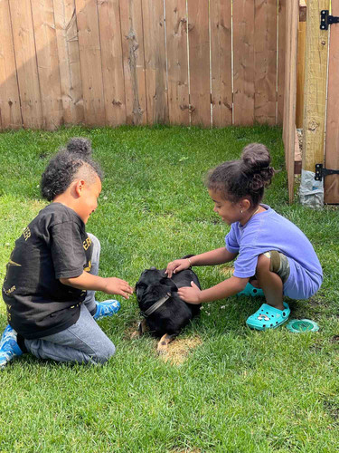 Photo of Loais Daycare INC Daycare - Uniondale, NY