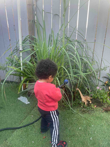 Photo of Vienna's Daycare - San Diego, CA