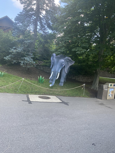 Photo of Joycee’s Tiny Tots Daycare - Maple Heights, OH