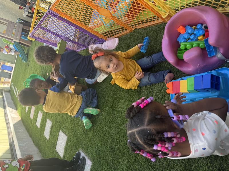 Photo of Little Bee Explores