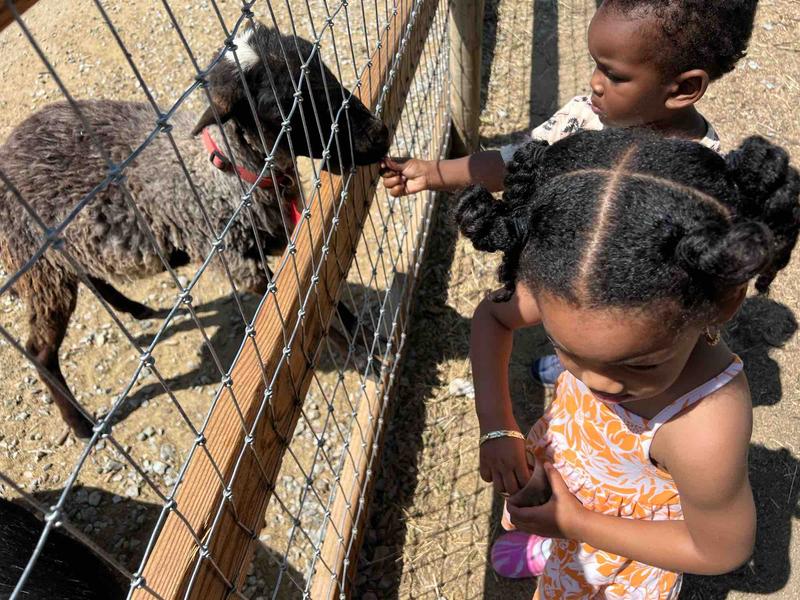 Photo of Palmer Family Childcare Daycare - Paramount, CA