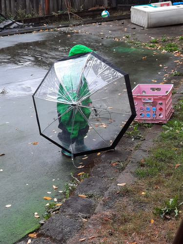 Photo of Amanda Lee S. - Vancouver, WA