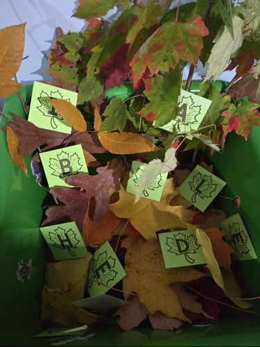 Photo of ABC Family Child Care - Worcester, MA