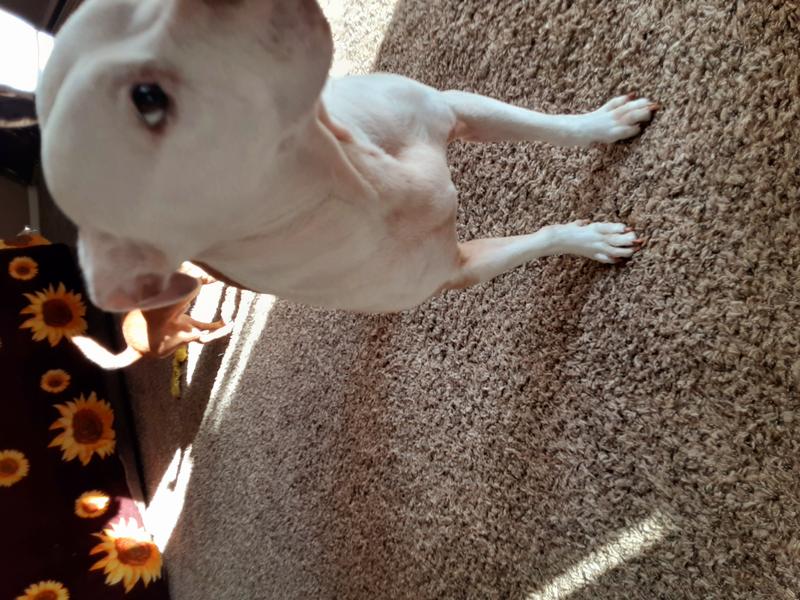 Photo of Brandi S. - Longview, WA