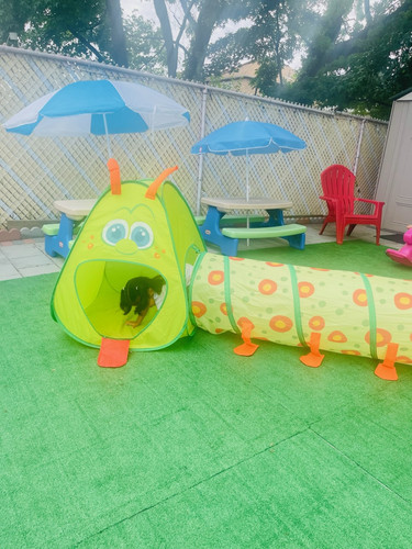 Photo of Winner Of Knowledge Inc - Staten Island, NY