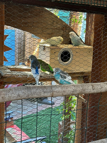 Photo of Rainforest Family Childcare - Santa Barbara, CA