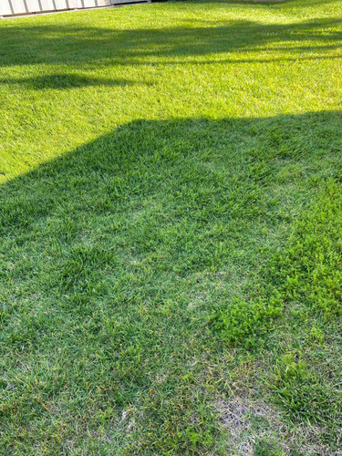 Photo of Forest Blossom Montessori Childcare - Lake Forest, CA