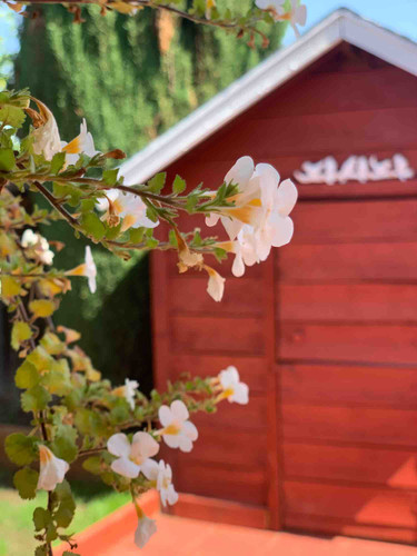 Photo of Little Paradise Daycare - San Jose, CA