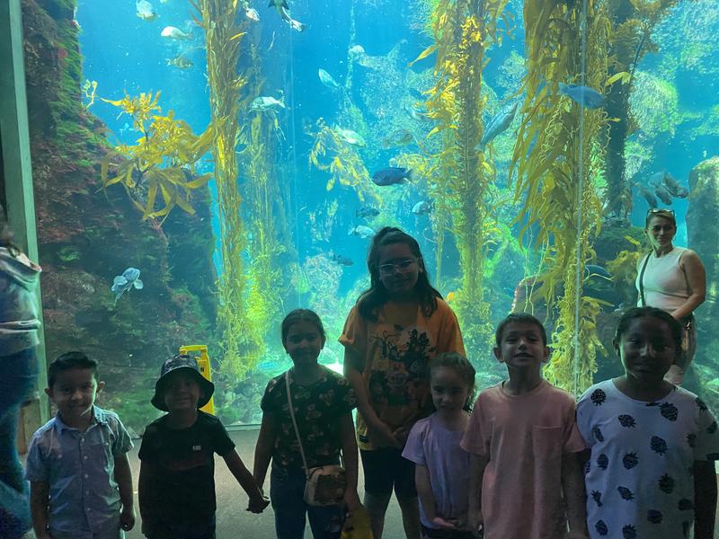 Photo of Sunrise Daycare - Reseda, CA