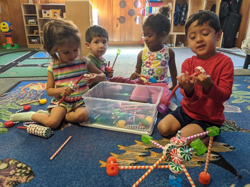 Photo of Cuddles Academy - San Diego, CA