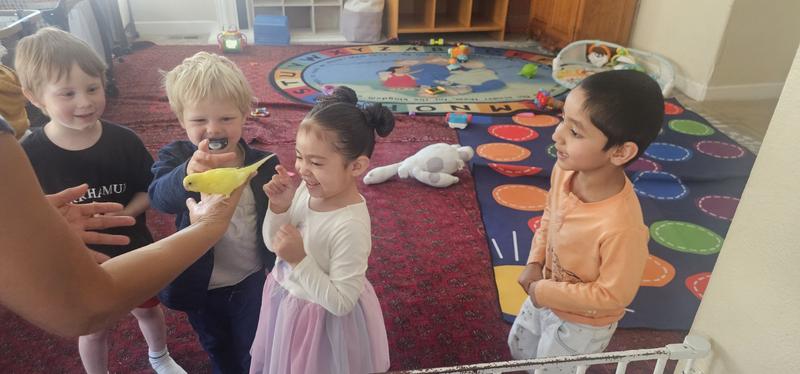 Photo of Little Steps Daycare - Hayward, CA