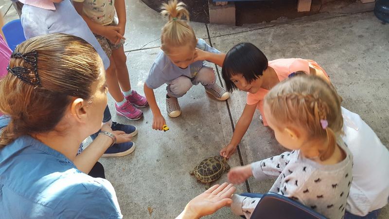 Photo of West Hollywood Children's Academy Daycare - West Hollywood, CA