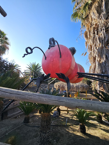 Photo of Beccas Buccaneers - Bakersfield, CA