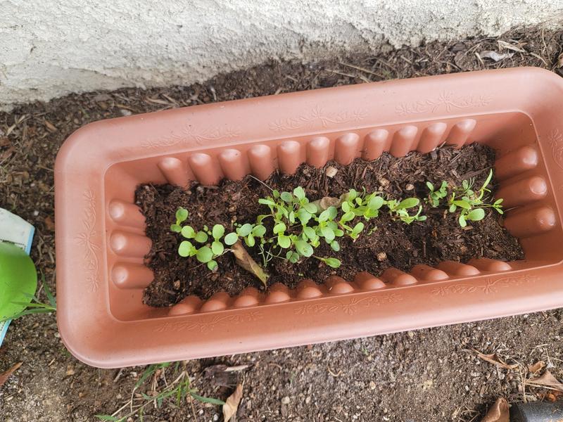 Photo of Lil Explorerz Family Childcare Daycare - Los Angeles, CA