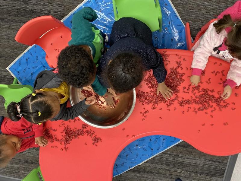 Photo of Medina Learning Center Daycare - San Diego, CA