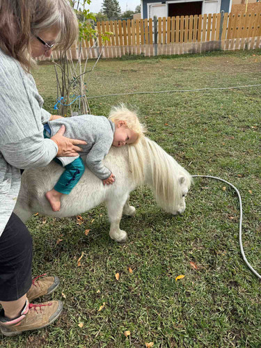 Photo of Little Wiggles Daycare - Elizabeth, CO
