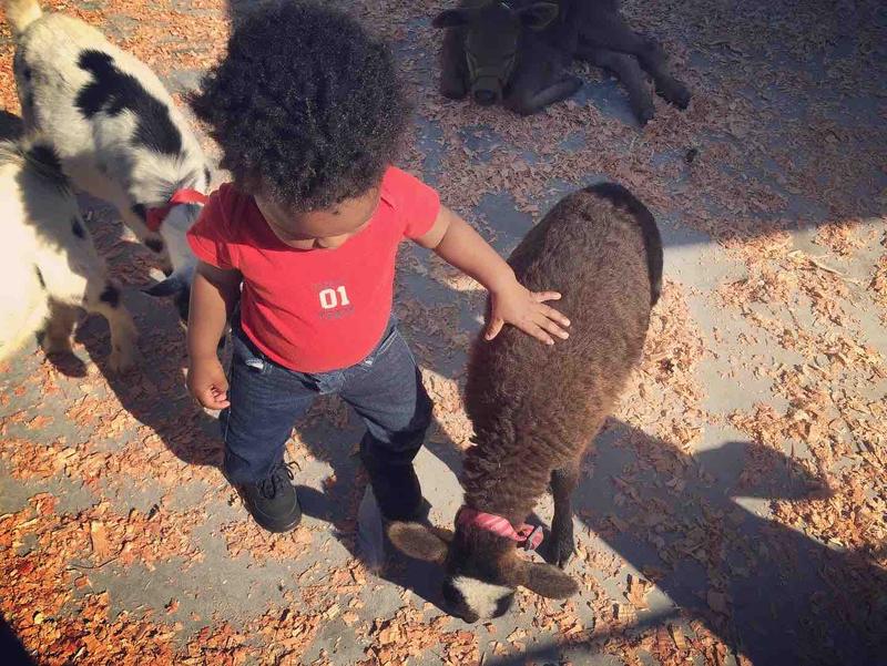 Photo of First Steps Child Care Inc. - Los Angeles, CA