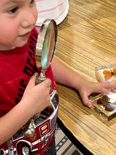 Photo of Little Minds Shine Home Daycare LLC Daycare - Branford, CT