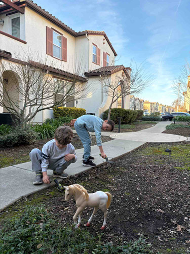 Photo of The Nest At Elk Grove - Elk Grove, CA