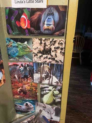 Photo of Linda Morris - Fort Worth, TX