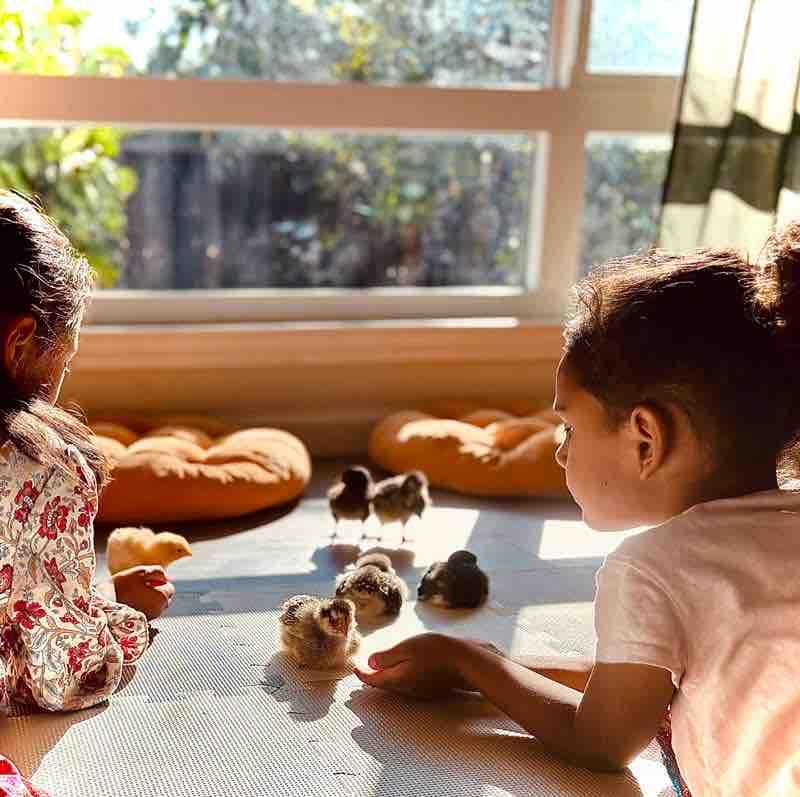 Photo of Seeking Bewilderment Family Daycare And Preschool - San Jose, CA