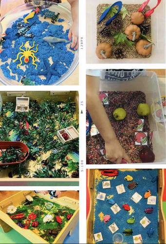 Photo of Francis Home Daycare - San Jose, CA