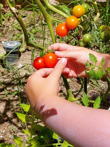 Photo of Bonita Child Daycare - Chula Vista, CA