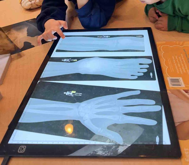 Photo of Wilburton Montessori Preschool - Bellevue, WA