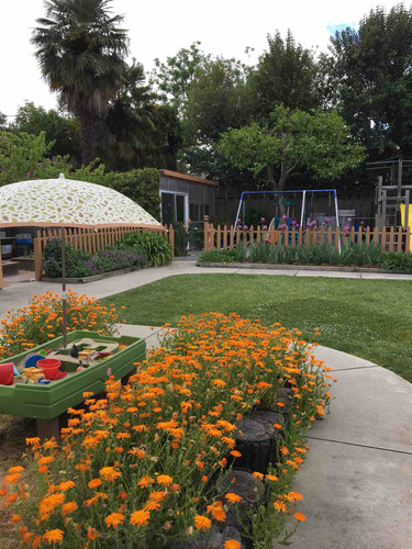 Photo of Tanya’s Learning Garden - San Jose, CA
