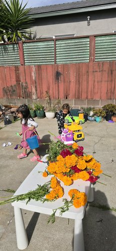 Photo of La Paz Daycare - Daly City, CA