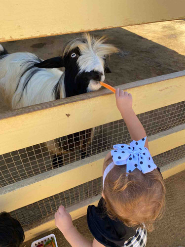 Photo of Sandyland Kids Daycare - Corona, CA
