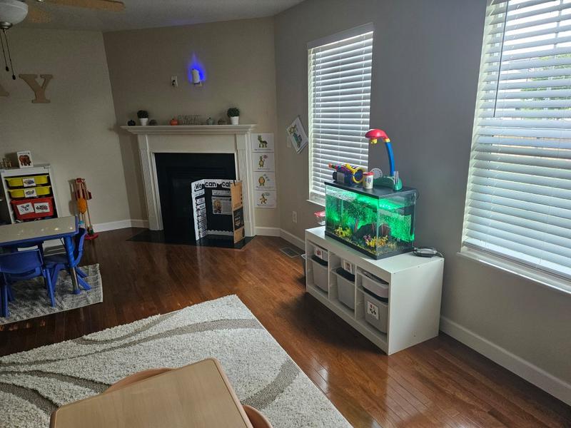 Photo of Helping Hands In Home Child Care - Mascoutah, IL