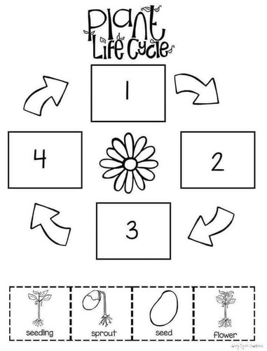 Photo of Little Stars Davoian Family Daycare - Glendale, CA