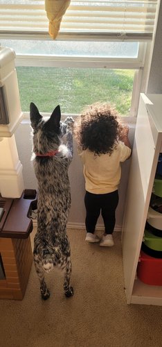 Photo of Sunnyville Academy LLC Daycare - Little Elm, TX