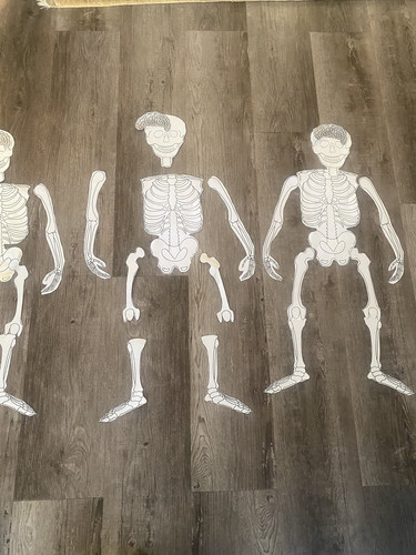 Photo of Escuelita Preschool - San Jose, CA