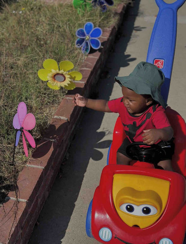 Photo of Florestine L. - Windsor Hills, CA