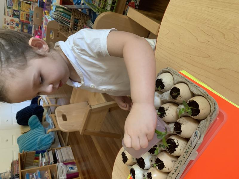 Photo of Skeyci Children Programs Daycare - Castro Valley, CA