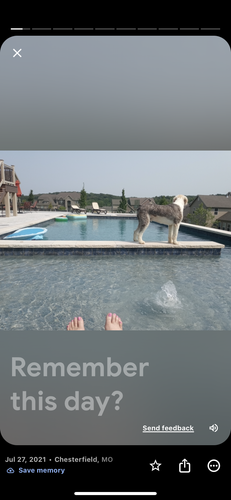 Photo of Kimberly K. - St. Charles, MO