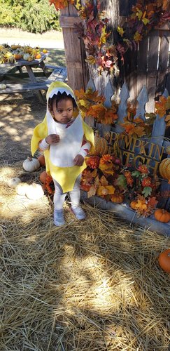 Photo of Ms Bee's  Kidz Pl - Grand Prairie, TX