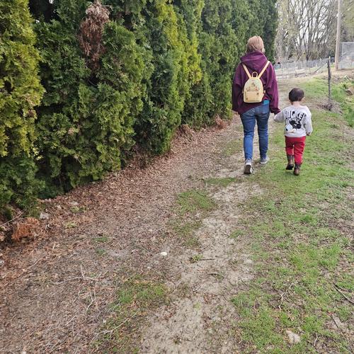 Photo of Megan's Munchkins - Nampa, ID