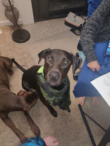 Photo of Lauren W. - North Bend, WA