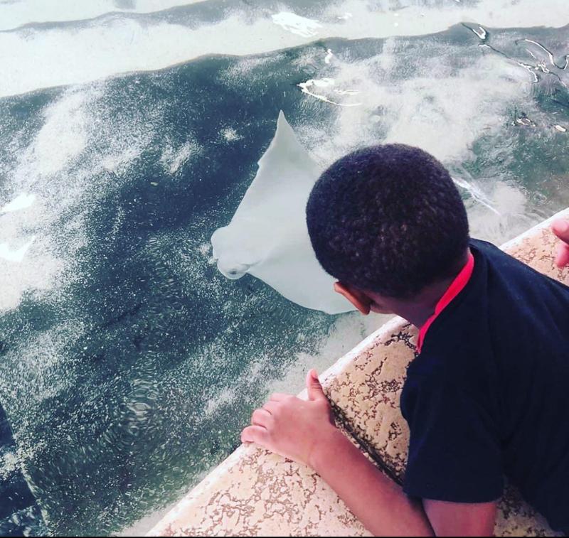 Photo of Educated Adventures LLC Daycare - North Chicago, IL