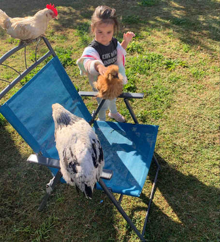 Photo of Kiddie City Daycare - El Cajon, CA