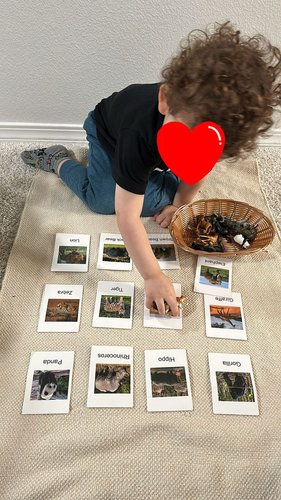 Photo of Little Genius Bilingual Childcare & Preschool Daycare - Tigard, OR