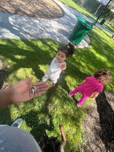 Photo of Palmer Family Childcare Daycare - Paramount, CA