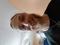 Photo of provider  Jackson