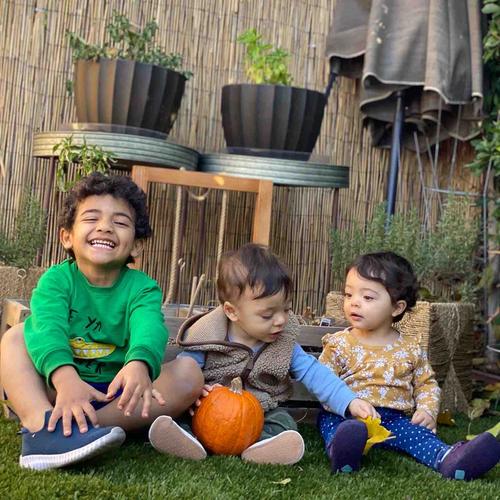 Photo of Tree House Child Care Daycare - Glendale, CA