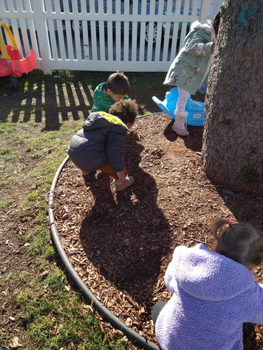 Photo of Rosie's Family Child Care, Inc - Norwood, MA